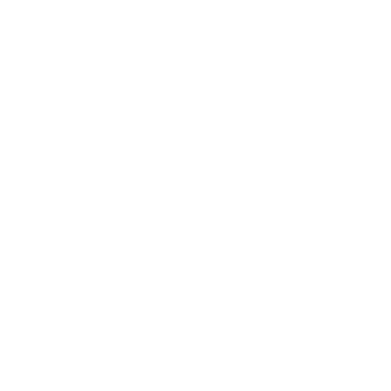 Loram Maintenance of Way