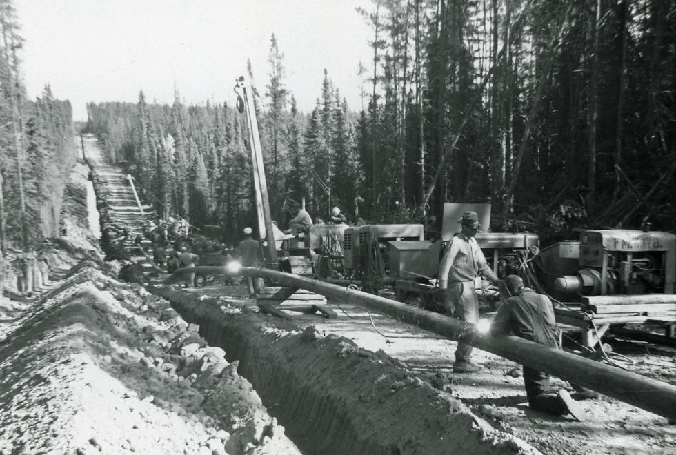Workers installing large pipe in a trench beside a forest. Legacy construction setting.